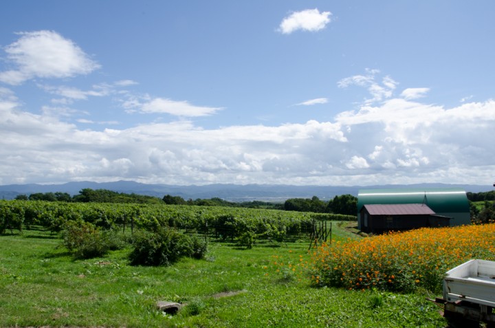 tsurunuma-winery20150905-9