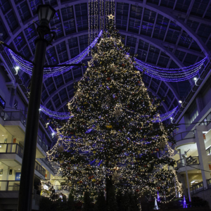 A Big X'mas Tree 2015 in Sapporo Factory