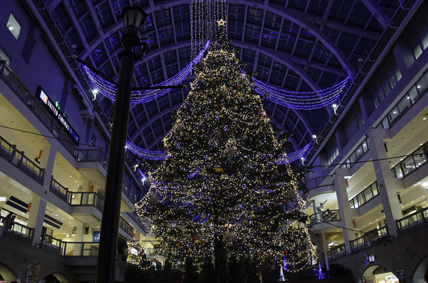 A Big X’mas Tree 2015 in Sapporo Factory