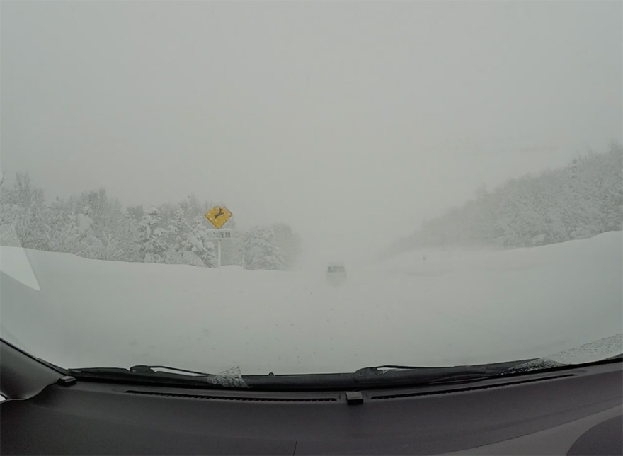 White-out Driving in the winter