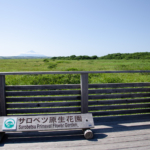 Sarobetsu Plain