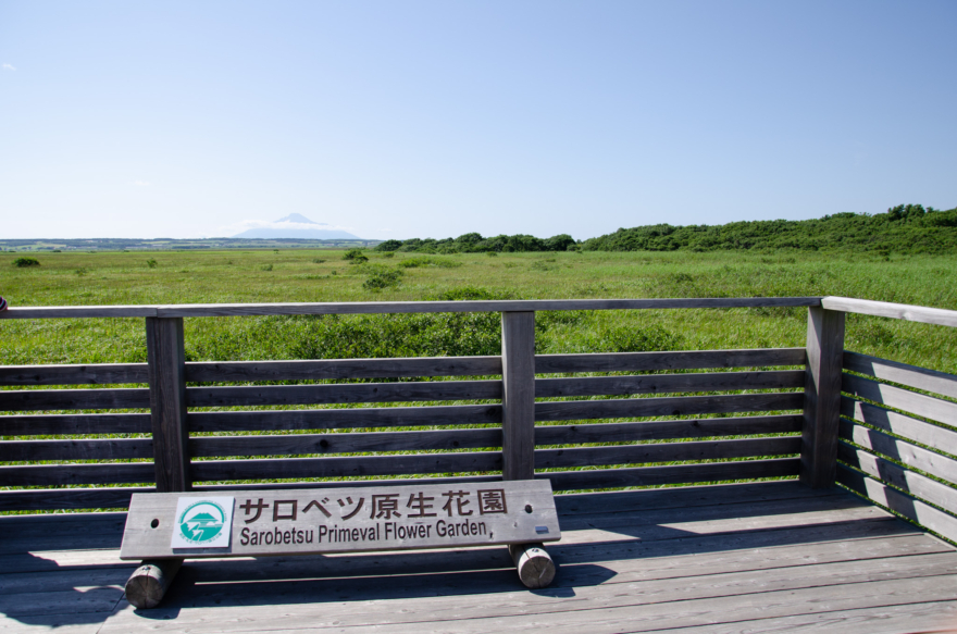Sarobetsu Plain