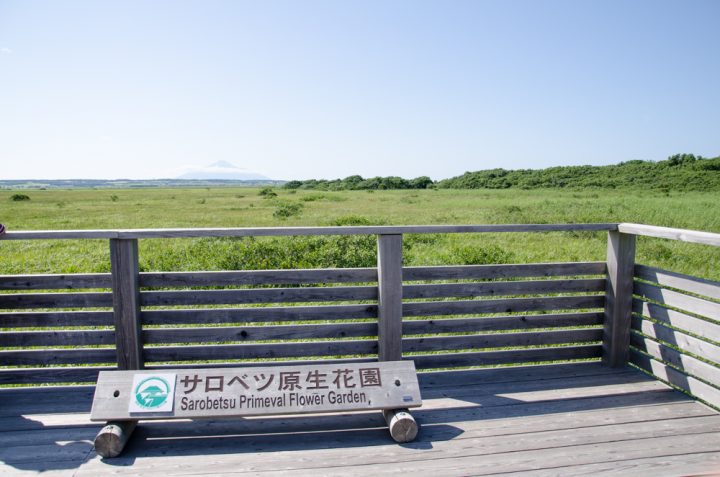 sarobetsugenya-15