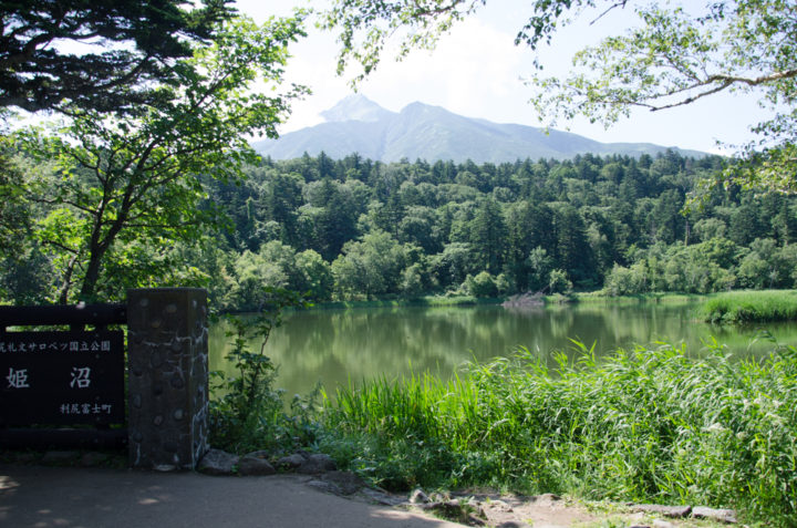 Himenuma pond