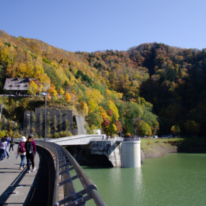 Autumn Leaves in Hoheikyo Dam 2019