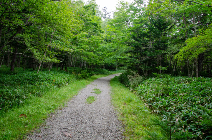 entrance to the mountain