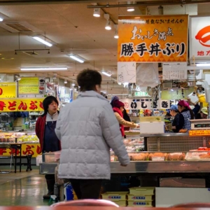 Kattedon at Washo Market, Kushiro, Seafood Donburi as you wish