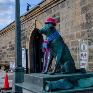 Bun-kou, Firedog in Otaru