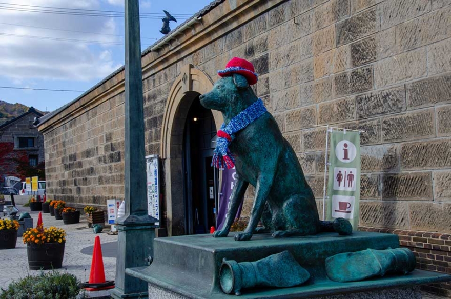 Bun-kou, Firedog in Otaru