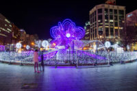Sapporo White Illumination has started on Nov 22, 2019