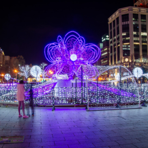 Sapporo White Illumination has started on Nov 22, 2019