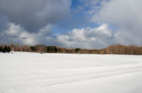Cross Country Ski in Maeda Forest Park