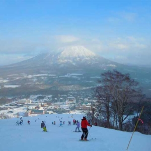 How to get to Jozankei and Sapporo Station from Niseko Ski Area by bus?
