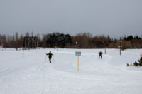 Cross Country Ski in Maeda Forest Park