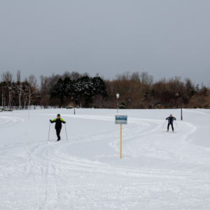 Cross Country Ski in Maeda Forest Park