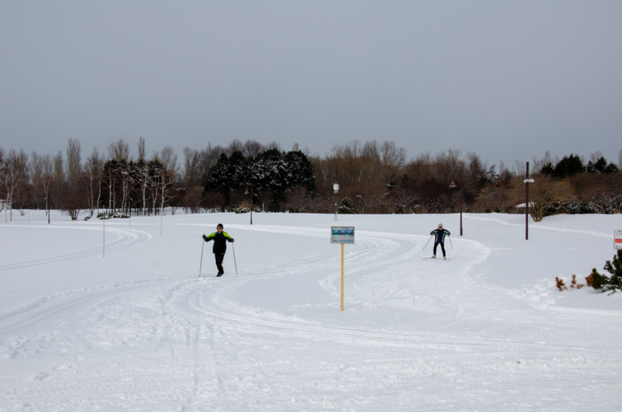 Cross Country Ski in Maeda Forest Park