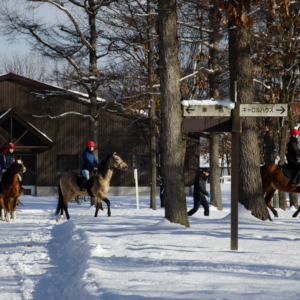 Northern Horse Park near Chitose Airport