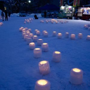 Snow Lights In Nakajima Park