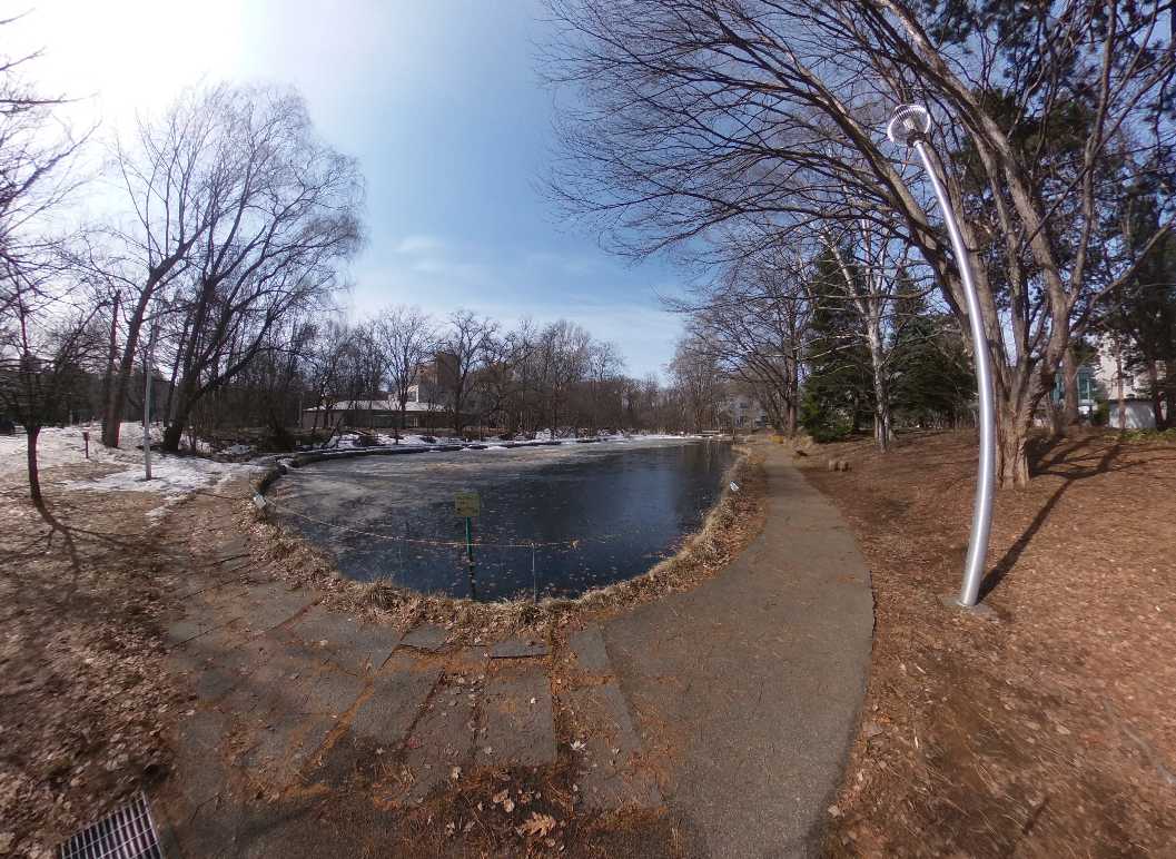 The Ohnoike pond in Hokkaido University