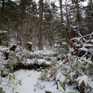 mt.haku-un-zan