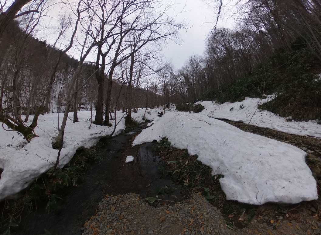 A Dum Around Heiwa-no-taki Area in Sapporo, Mt.Teineyama