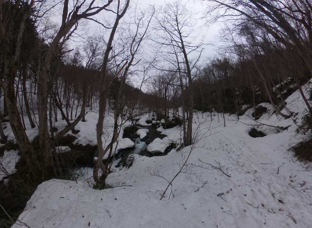 A Dum Around Heiwa-no-taki Area in Sapporo, Mt.Teineyama