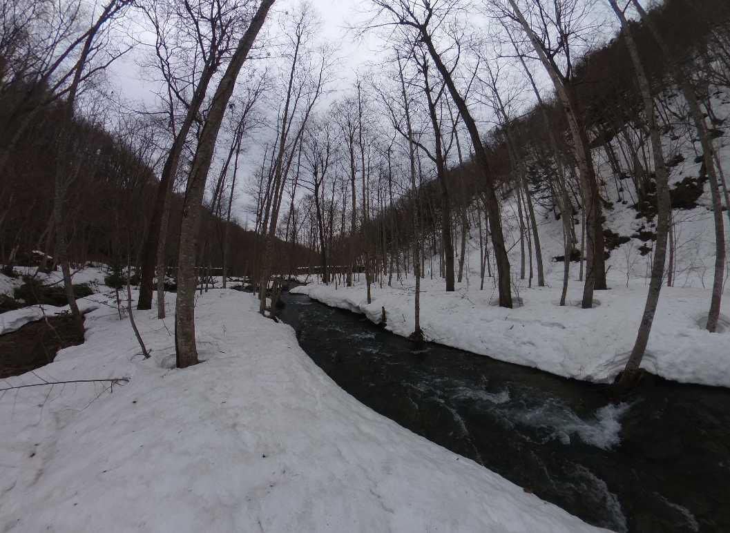 A Dum Around Heiwa-no-taki Area in Sapporo, Mt.Teineyama