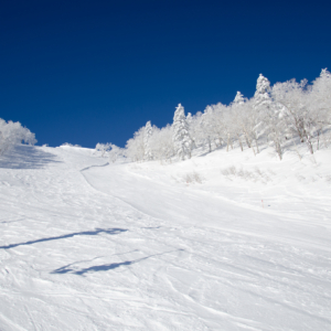 furano ski area