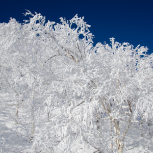 furano ski area