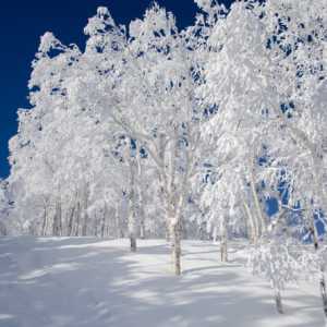 furano ski area