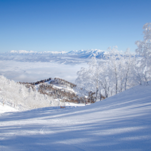 One of the most valuable Ski Area, Furano Ski Area as No.1