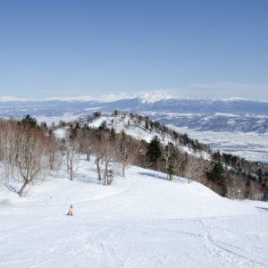 Nobody there, Pandemic Skiing in Furano