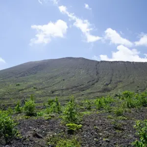 Looking up at Mount Tarumae from the flower fields
