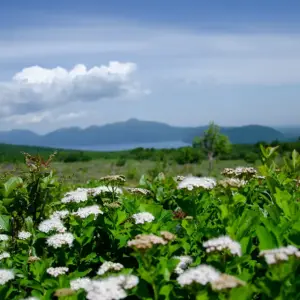 Lake Shikotsu far visible from the flower fields at the foot of Mount Tarumae