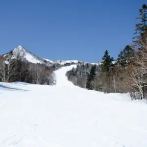 Hokkaido Winter 2026: Beat the Crowds!