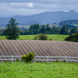 Exploring the Hills of Biei in Half a Day
